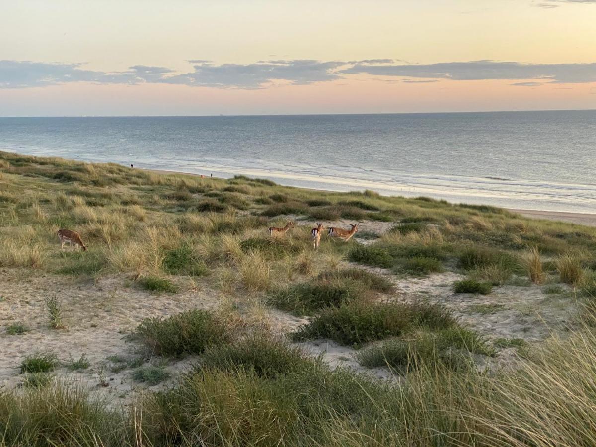 Zwarte Vis Διαμέρισμα Zandvoort Εξωτερικό φωτογραφία