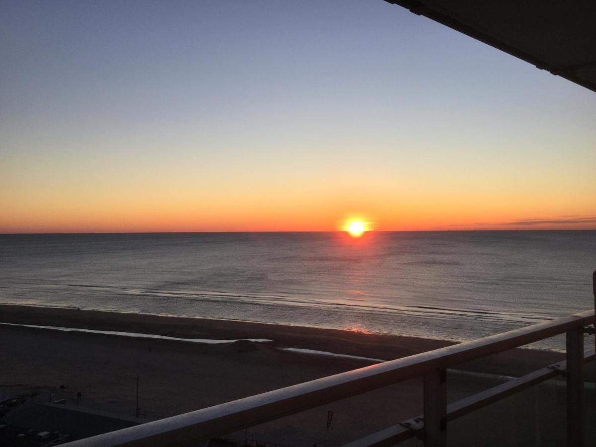 Zwarte Vis Διαμέρισμα Zandvoort Εξωτερικό φωτογραφία
